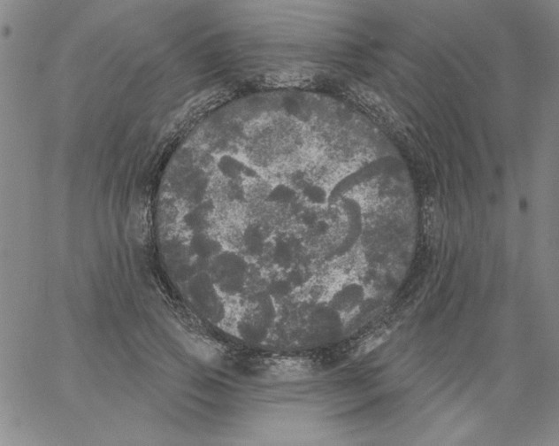 X0000066970741200604211906