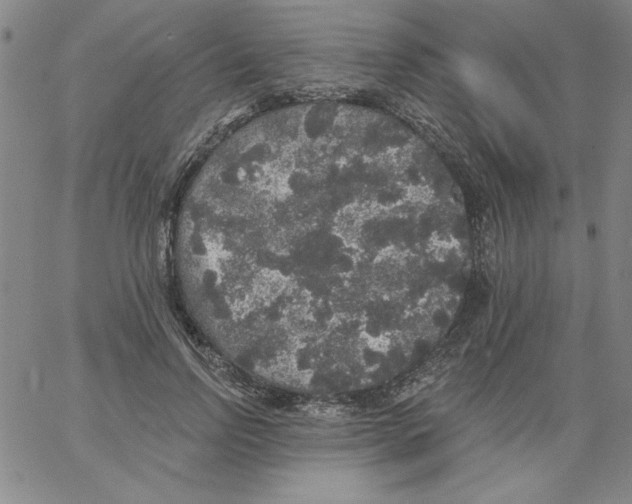 X0000066970742200604211906