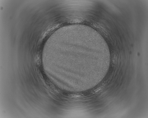 X0000066970743200604211906