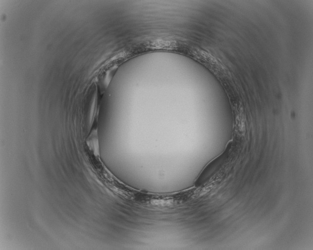 X0000066970744200604211906