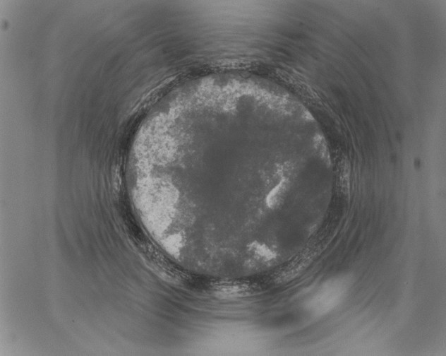 X0000066970746200604211906