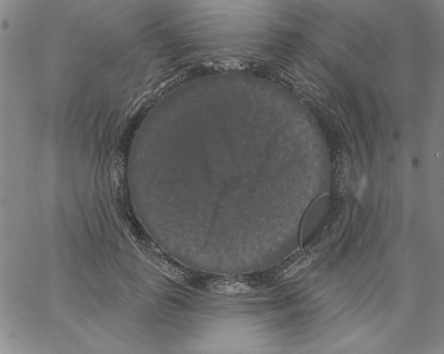 X0000066970747200604211906