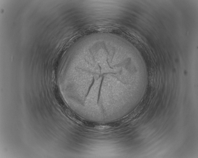 X0000066970748200604211906