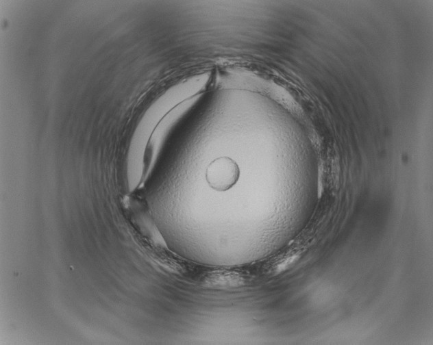 X0000066970750200604211906