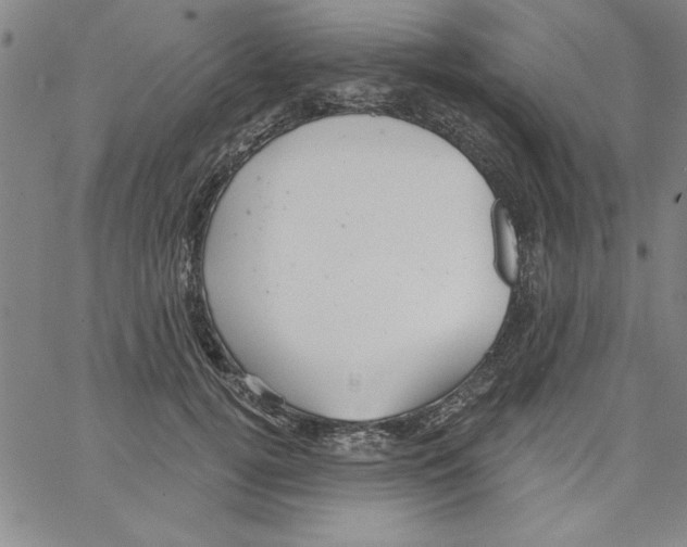 X0000066970752200604211906