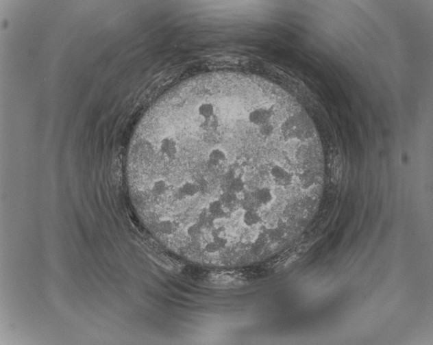 X0000066970753200604211906