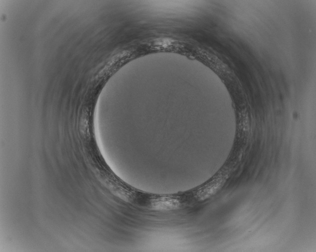 X0000066970754200604211906