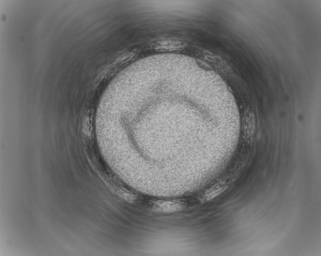 X0000066970755200604211906