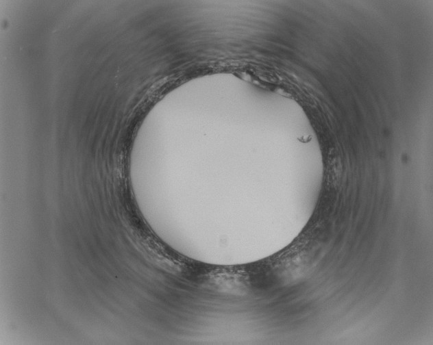 X0000066970756200604211906