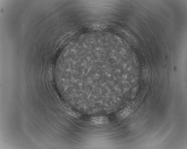 X0000066970757200604211906