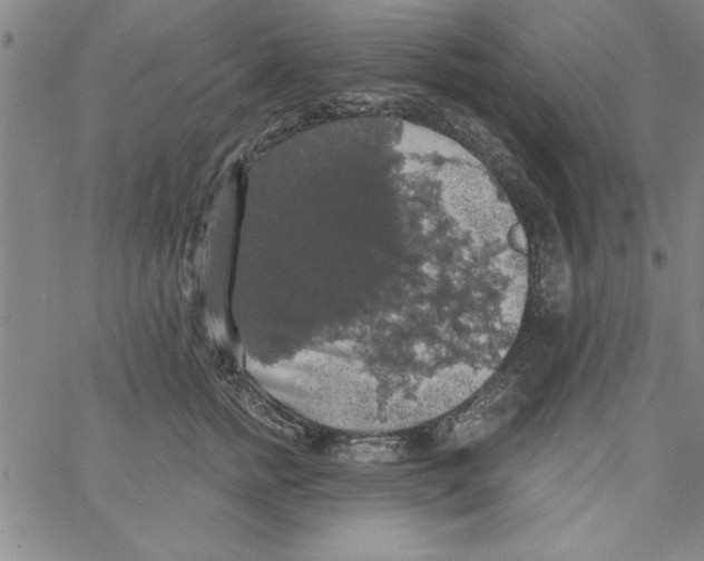 X0000066970758200604211906