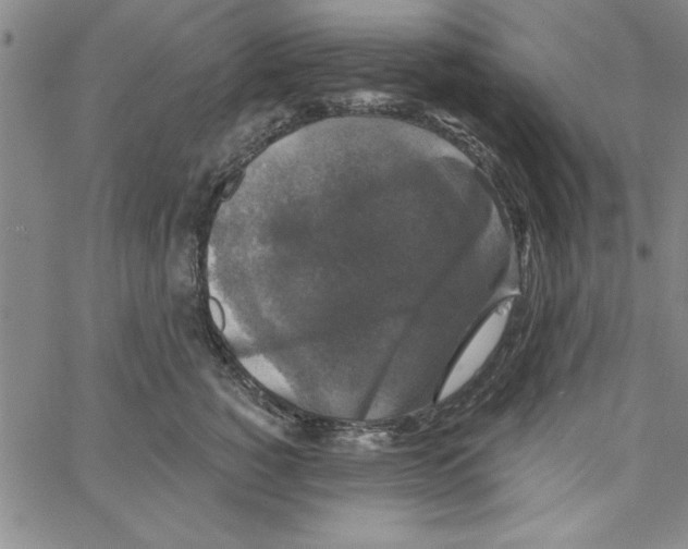 X0000066970760200604211906