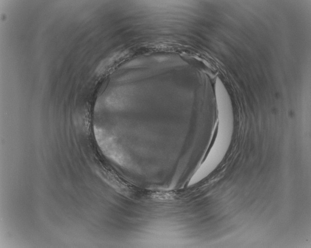 X0000066970762200604211906