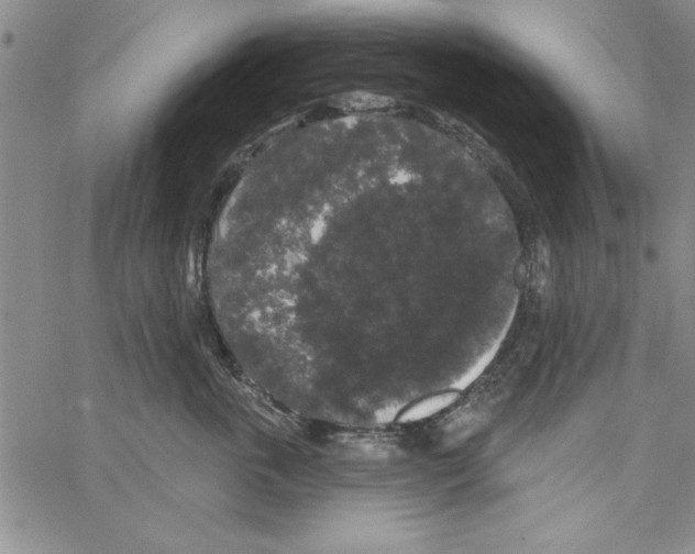 X0000066970763200604211906