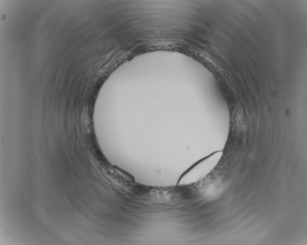 X0000066970764200604211906