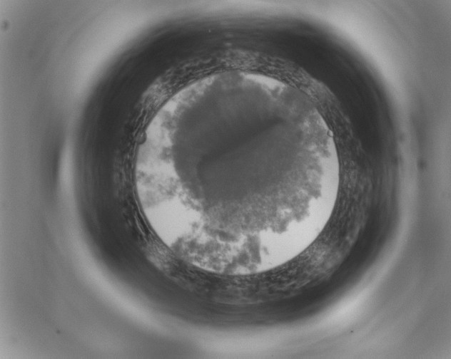 X0000066970765200604211906