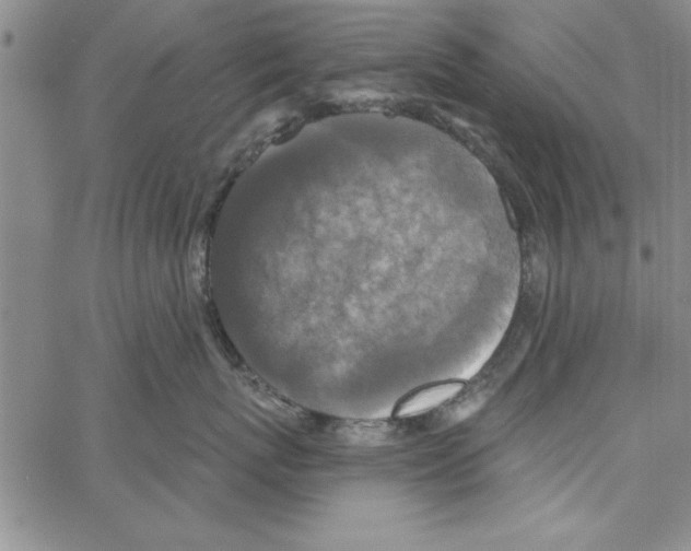 X0000066970767200604211906