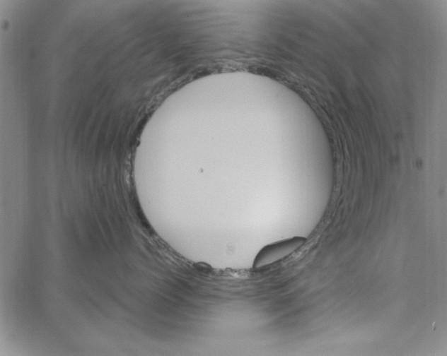 X0000066970768200604211906