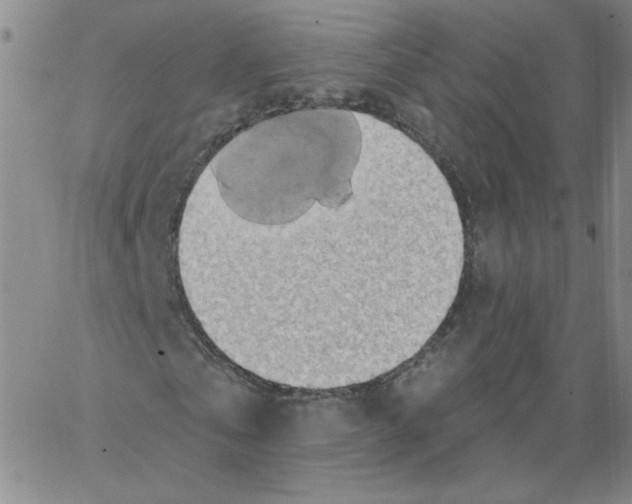 X0000066970769200604211905