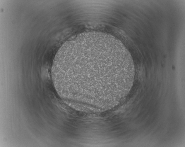 X0000066970770200604211905