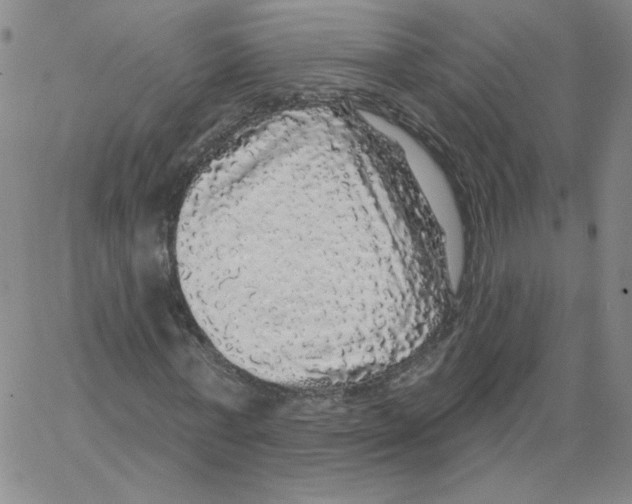 X0000066970771200604211905