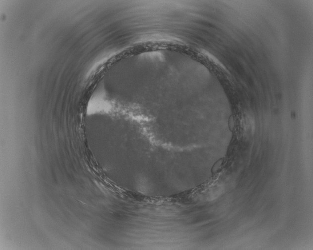 X0000066970775200604211905