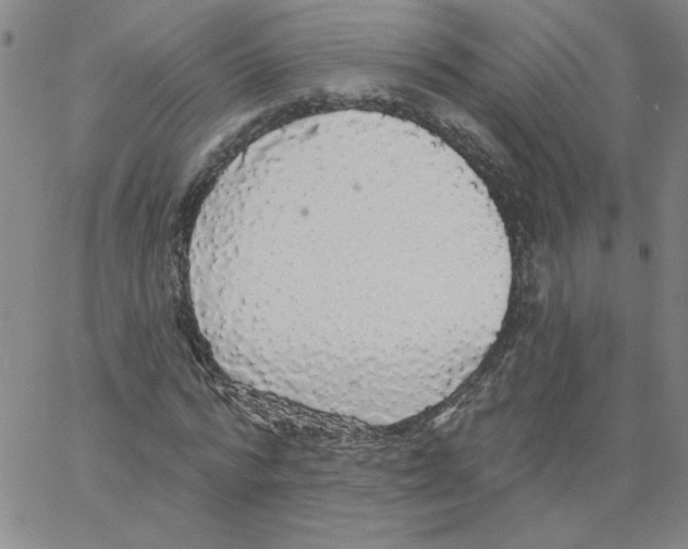 X0000066970776200604211905