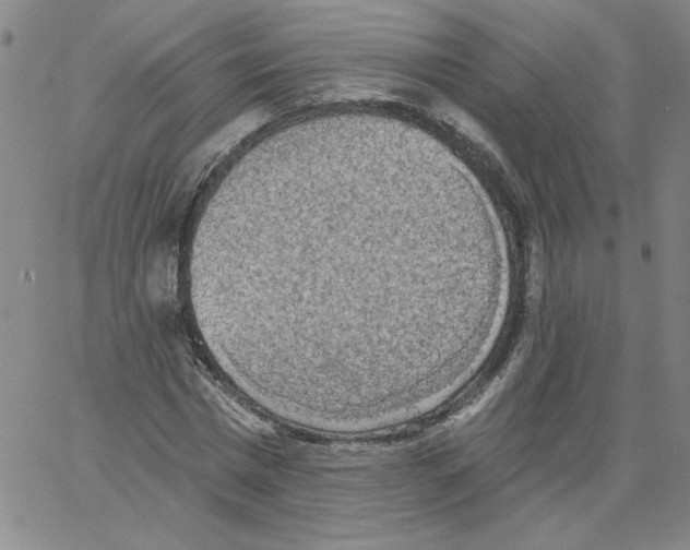 X0000066970777200604211905