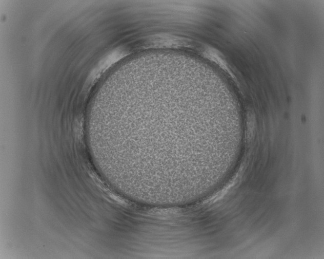 X0000066970778200604211905