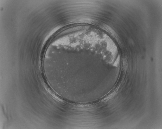 X0000066970780200604211905