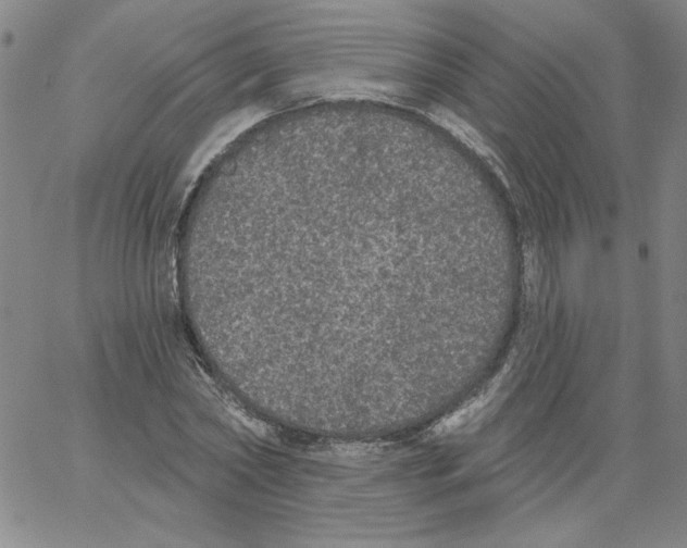 X0000066970782200604211905