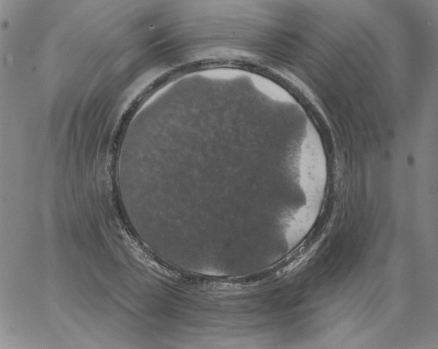 X0000066970783200604211905