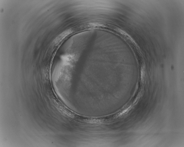 X0000066970785200604211905