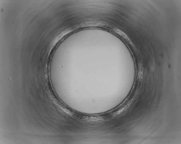 X0000066970786200604211905