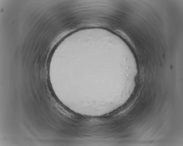 X0000066970787200604211905