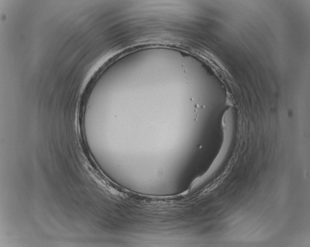 X0000066970788200604211905