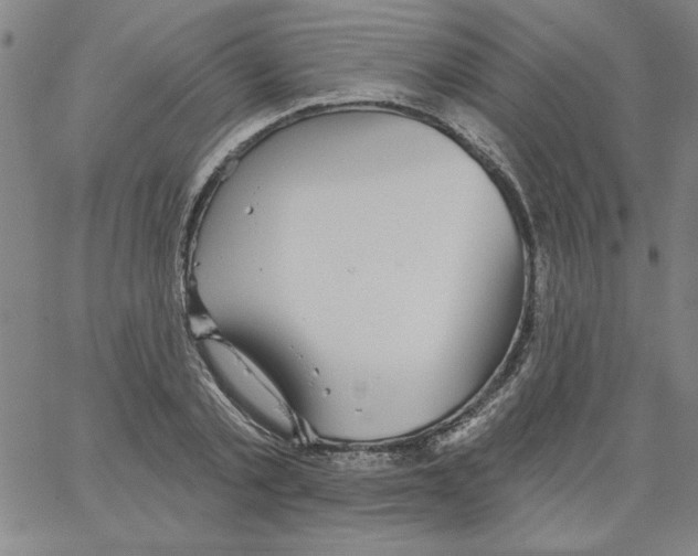 X0000066970789200604211905