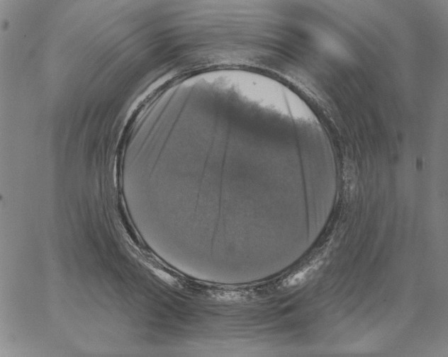 X0000066970790200604211905