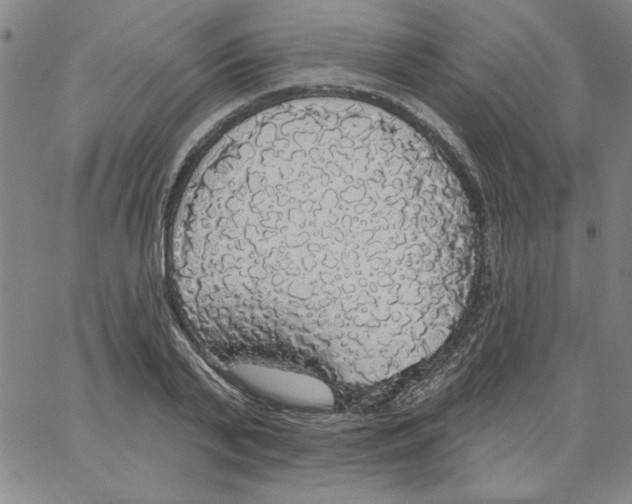 X0000066970791200604211905