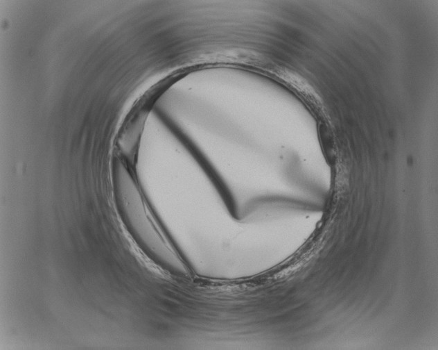 X0000066970792200604211905