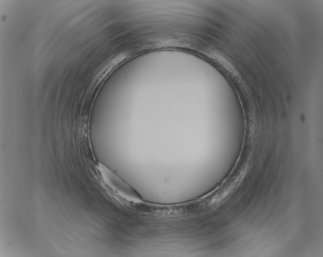 X0000066970793200604211905