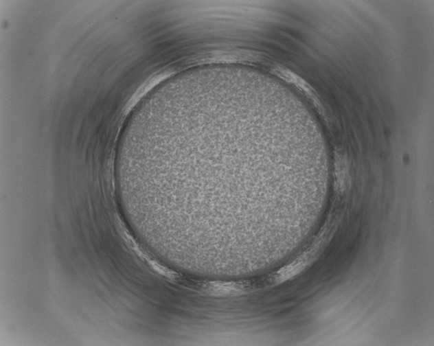 X0000066970794200604211905