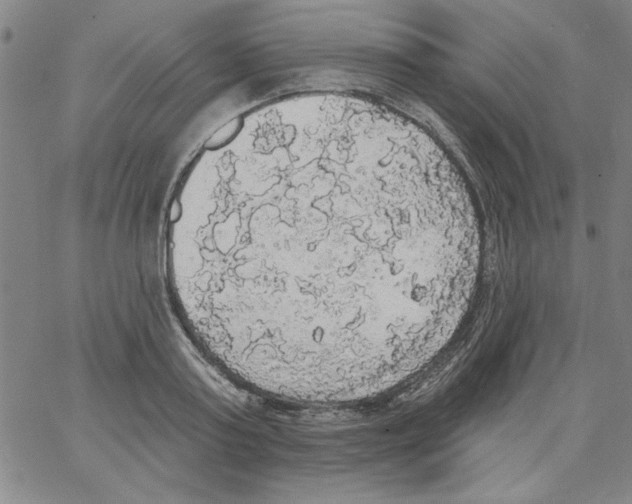 X0000066970795200604211905