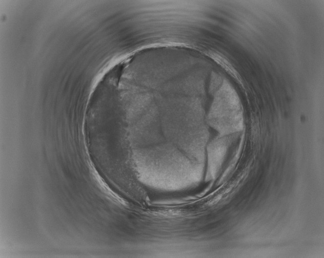 X0000066970797200604211905