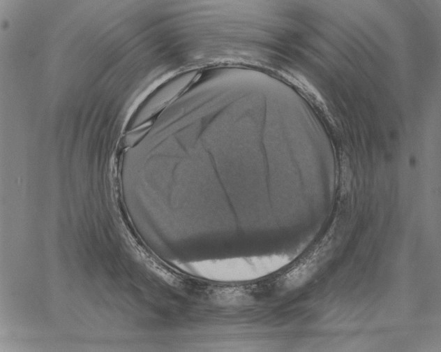 X0000066970798200604211905