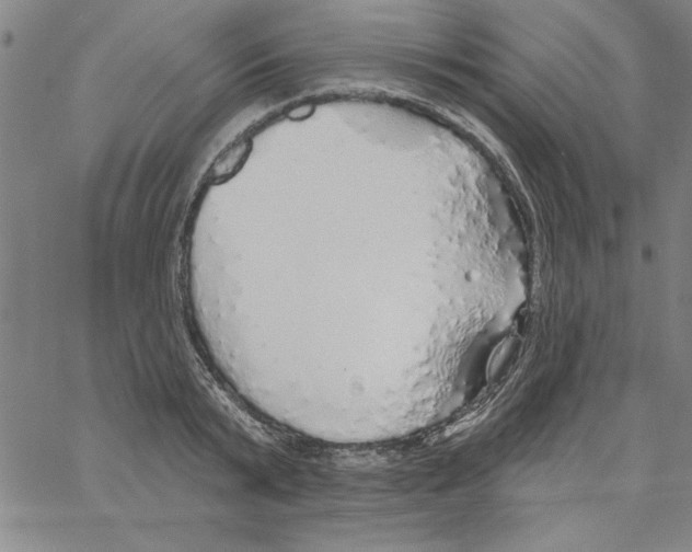 X0000066970799200604211905