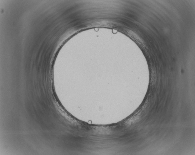 X0000066970800200604211905