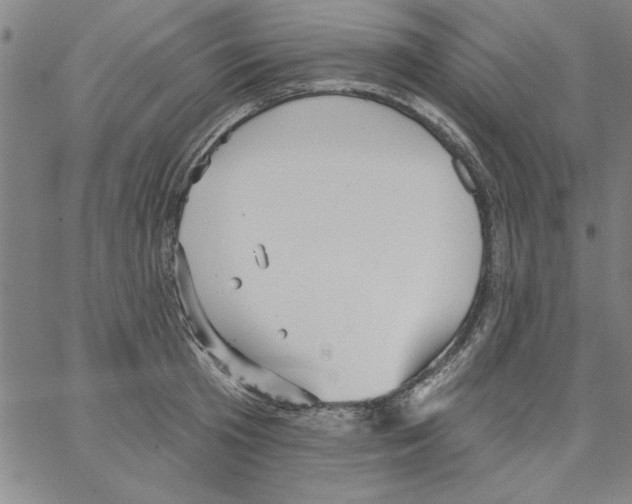 X0000066970801200604211905