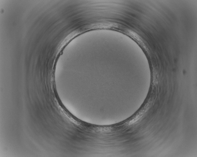 X0000066970802200604211905