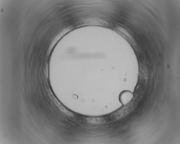 X0000066970804200604211905